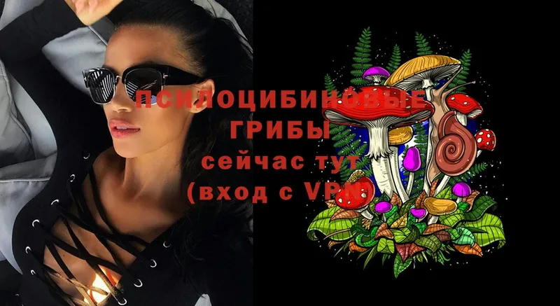 Псилоцибиновые грибы мицелий  Бобров 